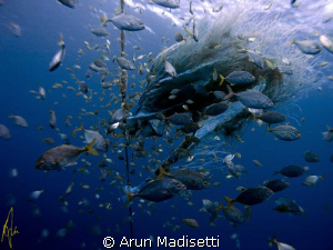 Out on the FAD.
5 miles out, 3 miles of water beneath...... by Arun Madisetti 